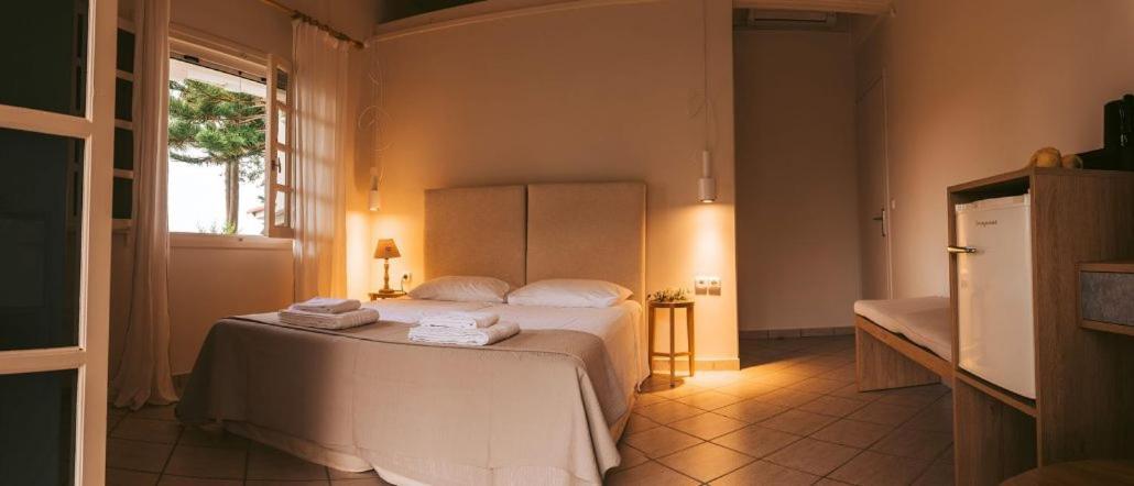 Villa Kastri Apartments Vasiliki  Ngoại thất bức ảnh